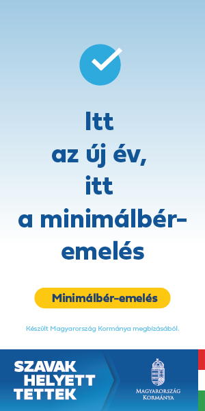 minimálbér 300x600